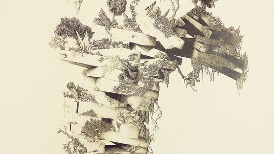 Marie Havel Jumanji 1, 2016 Graphite sur papier 101 x 140 cm - Courtesy H Gallery