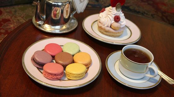 Macarons de toutes couleurs ©AFP - Photo12 / Gilles Targat