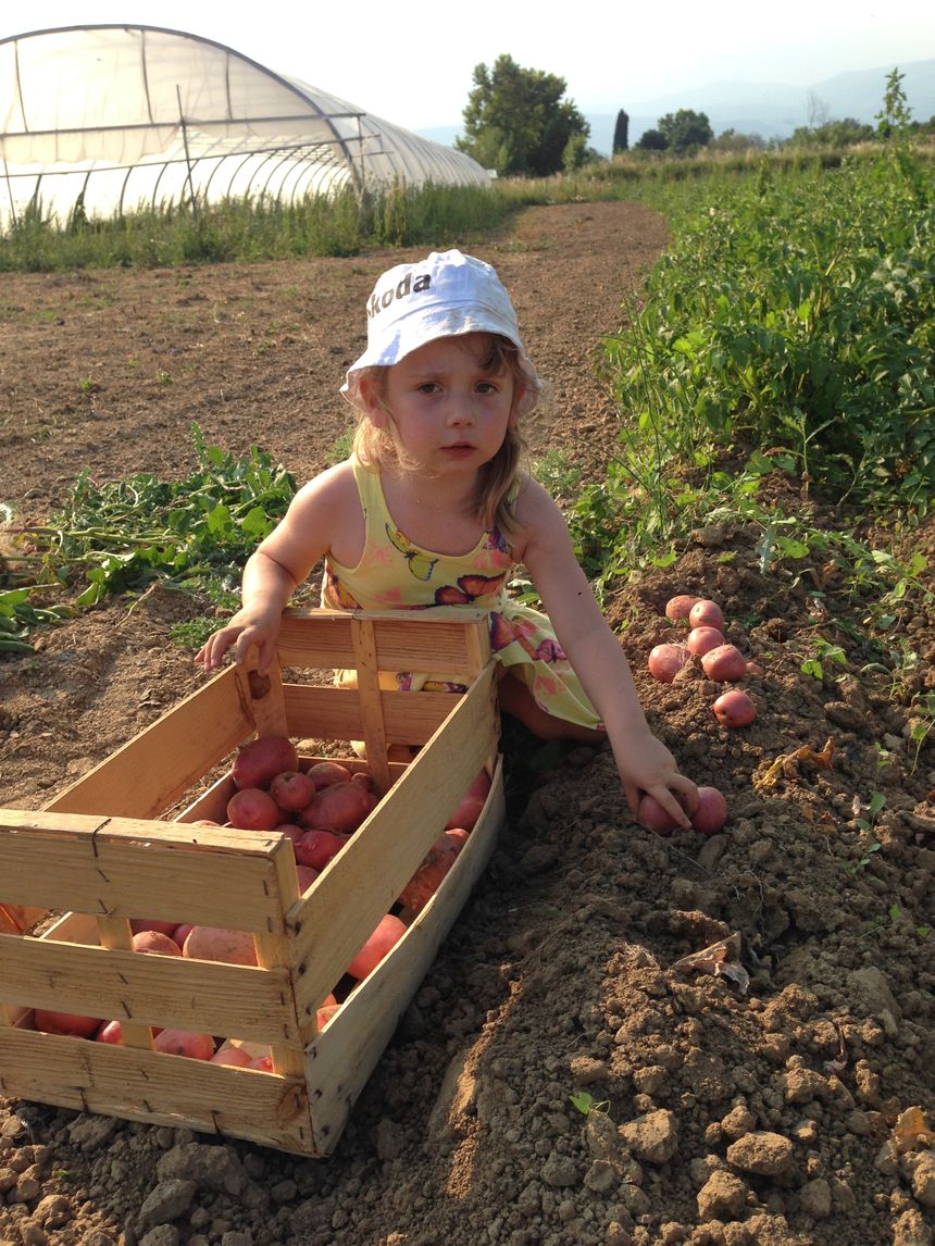 A la ferme, tout le monde aime le travail de la terre.