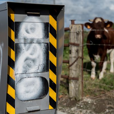 La sécurité routière, on ne peut pas s'en passer mais on l'accuse d'être une cache à lait pour l'Etat