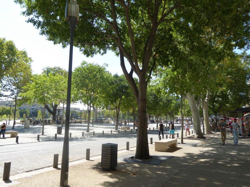 Belles Demeures, à L'Ombre des Arènes de Nîmes