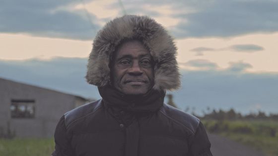 Film Féfé Limbé - Sésame Films