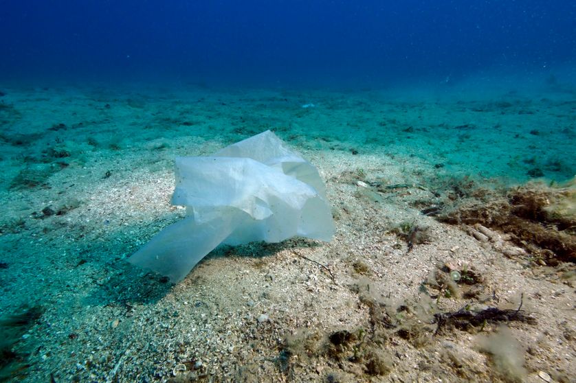 Sac plastique en Méditerranée