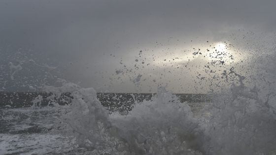 Tempête...changement de climat ©Maxppp - Claude Prigent