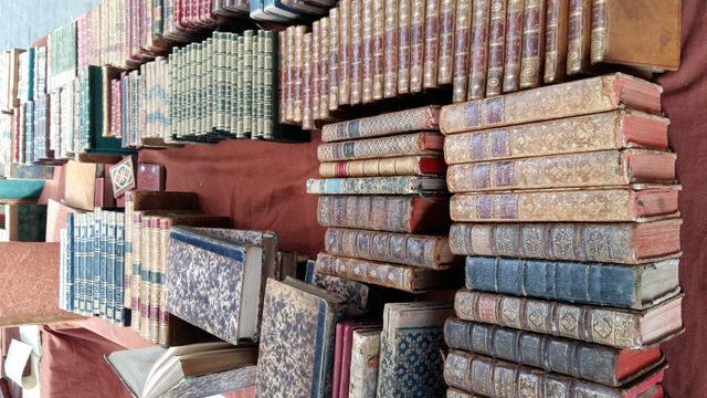 au marché du livre ancien et d'occasion