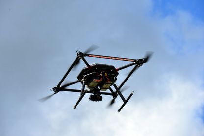Drone Drone