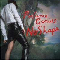 Couvertures albums: "Volver", "No shape" et "Humanz"