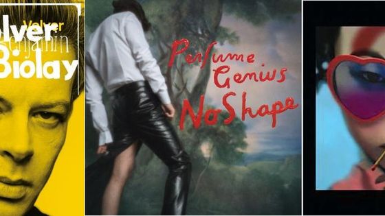 Couvertures albums: "Volver", "No shape" et "Humanz"