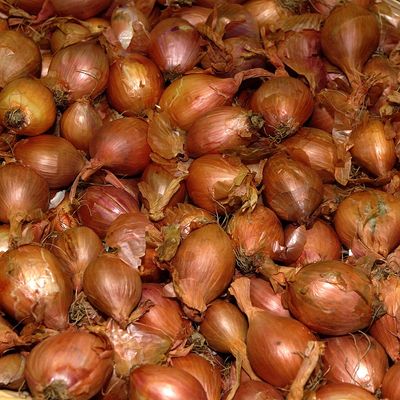 Des échalottes