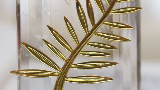 La Palme d'or ©Maxppp - Sébastien Botella