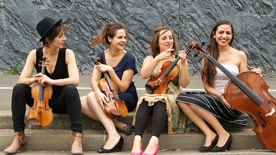 Le Quatuor Zaïde - Neda Navaee