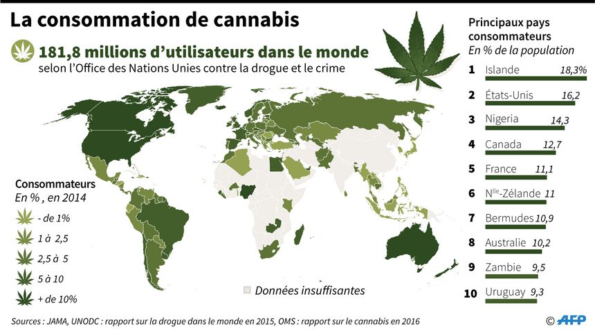 La consommation de cannabis dans les principaux pays consommateurs