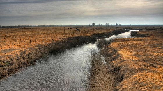 Luján River in San Pedro, province de Buenos Aires, Argentine - Luis Argerich