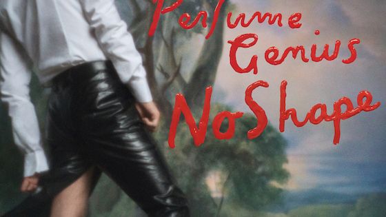Perfume Genius : No Shape (Matador)