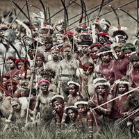 Quelques Baruya de Nouvelle-Guinée, photographiés en costume traditionnel