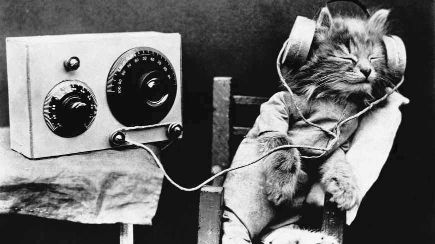 Les bons plans du week-end du 6 et 7 mai