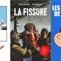 Couvertures des BD "Une soeur", "La fissure" et "Les praticiens de l'infernal"