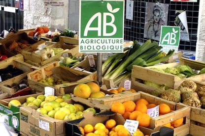 Plus de subventions pour l'agriculture bio permettrait notamment de pouvoir l'élargir Plus de subventions pour l'agriculture bio permettrait notamment de pouvoir l'élargir