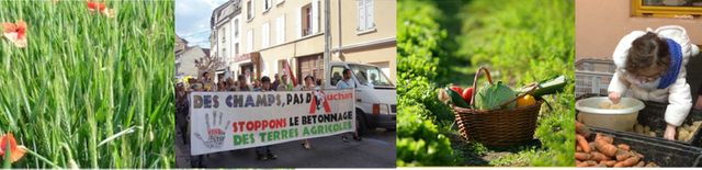 Collectif pour le Triangle de Gonesse