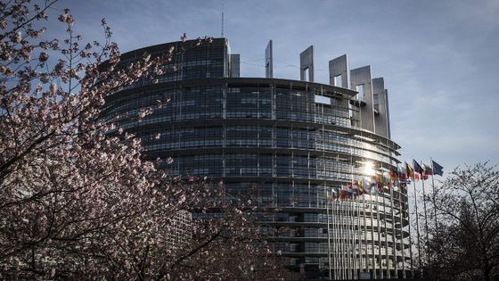 Parlement Européen de Strasbourg, 2014. ©AFP - WIKTOR DABKOWSKI / DPA