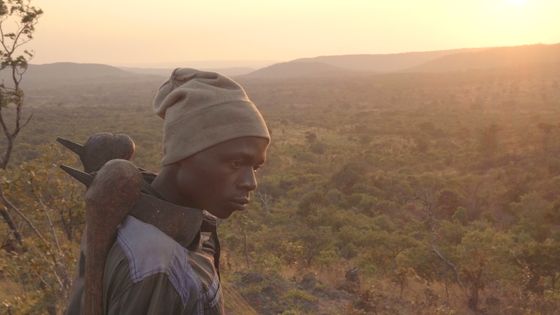 Makala d'Emmanuel Gras - Les Films du Losange