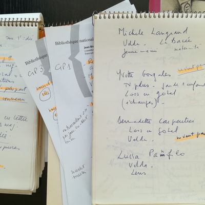 Carnets de terrain d'Anni Borzeix.