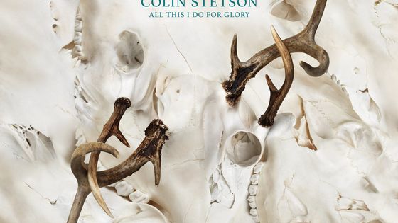 Colin Stetson : All I Do Is For Glory - couverture : Kent Rogowski