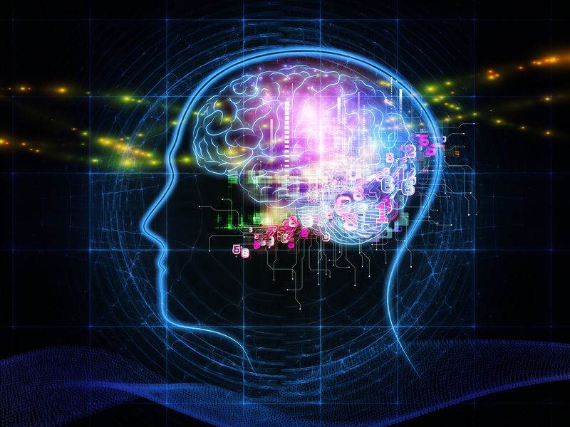 Neurobiologie de la conscience