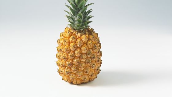 Quand un simple ananas devient... une oeuvre d'art ©Maxppp - Isabelle Rozenbaum