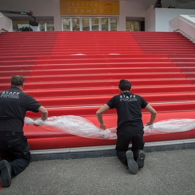 Tapis rouge au festival de Cannes
