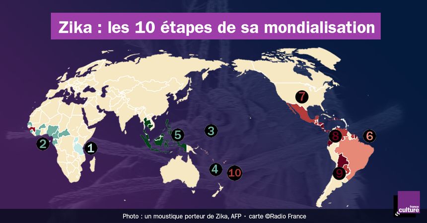 Les 10 étapes de la mondialisation de Zika