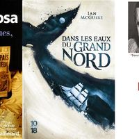 couvertures de "Aux cinq rues, Lima", "Dans les eaux du Grand Nord" et "Prises de bec