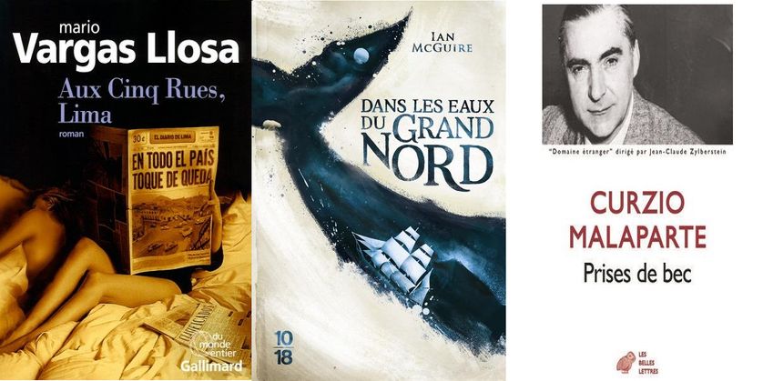 couvertures de "Aux cinq rues, Lima", "Dans les eaux du Grand Nord" et "Prises de bec