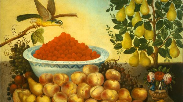 Le programme musical de Denisa Kerschova : Les fruits
