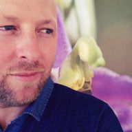 Fabrice Fenouillère