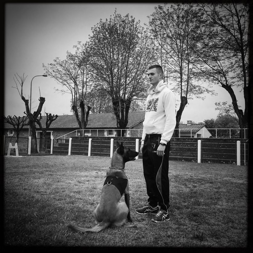 Le chien marque le porteur d'explosif