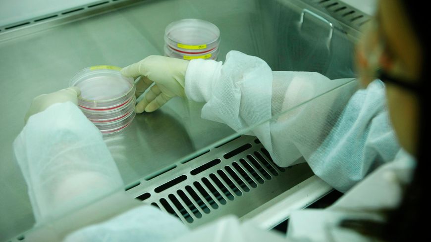 Les essais, très prometteurs, sur l'utilisation des nanoparticules pour certains cancers