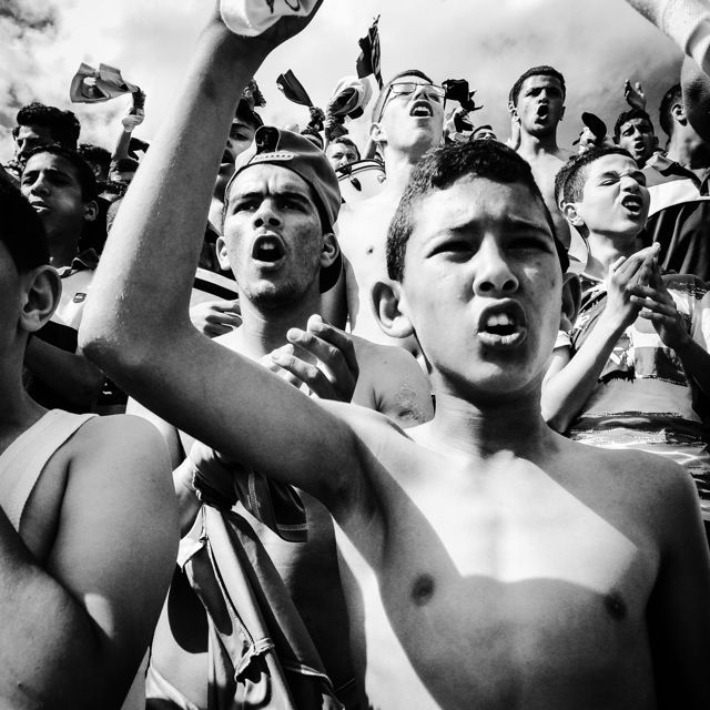 young supporters of RCR(Rapide Club de Relizane) reacting to an ongoing action during a football match,Relizane,Algeria,2016