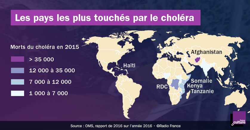 Les morts du choléra dans le monde (en 2015)