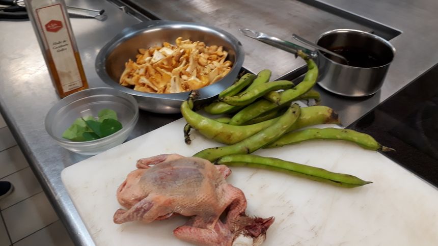 le pigeon à basse température fa9ON Maxime Lebrun