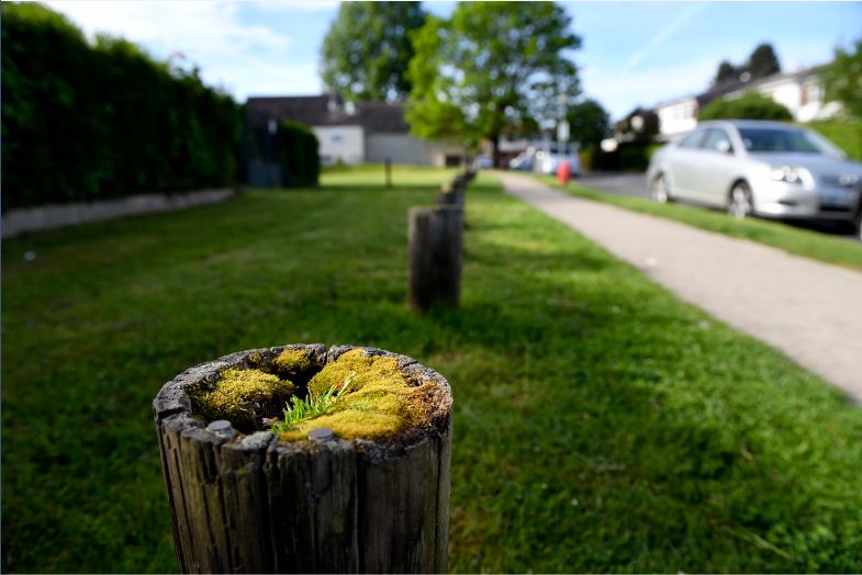 Seul sur le chemin