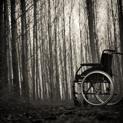 Un fauteuil roulant dans la forêt...