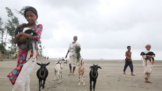 Villageois évacués au Bangladesh à l'approche du cyclone Mora, le 30 mai ©AFP