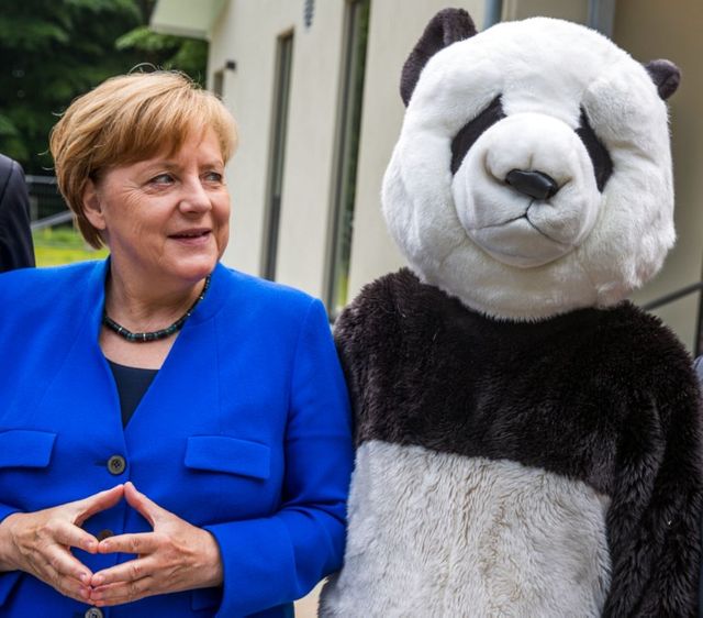 Angela Merckel sera présente au Zoo de Berlin pour accueillir les pandas