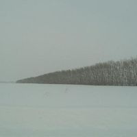 Steppe sibérienne, 28 décembre 2006
