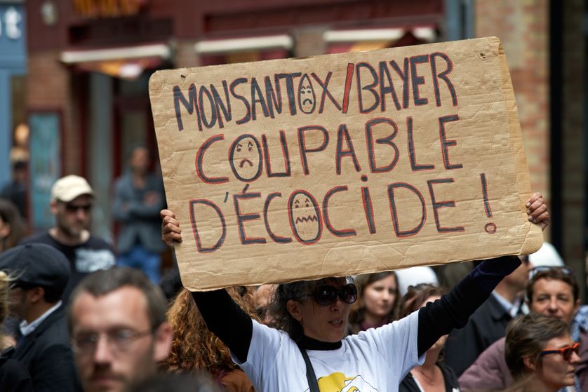 Manifestation anti OGM et pesticides à Toulouse mai 2017.