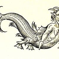 Illustration du livre d'Ambroise Paré : Le léviathan