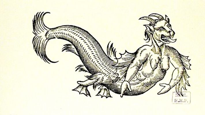 Illustration du livre d'Ambroise Paré : Le léviathan