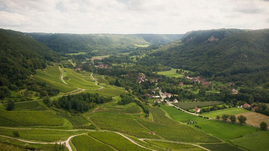 Vignoble de Baume les Messieurs, Jura