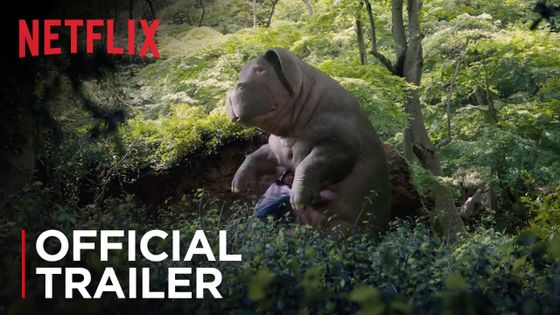 "'Okja", qui raconte une amitié sans faille entre une petite fille et un truie géante, menacée par l'industrie agro-alimentaire ne sera visible que sur Netflix.